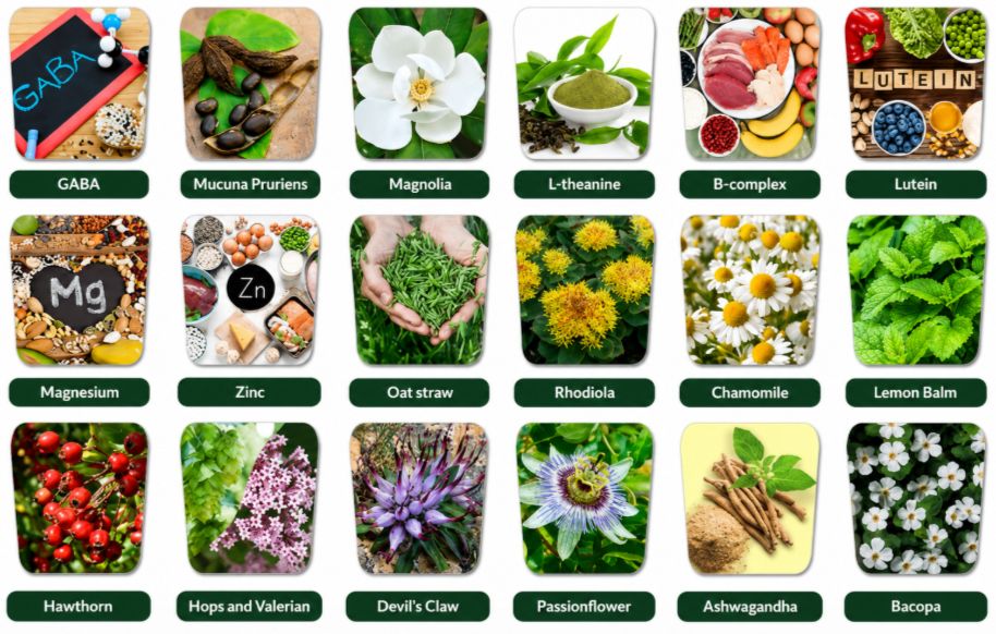 VidaCalm Ingredients