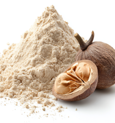BrainLive - Baobab Fiber