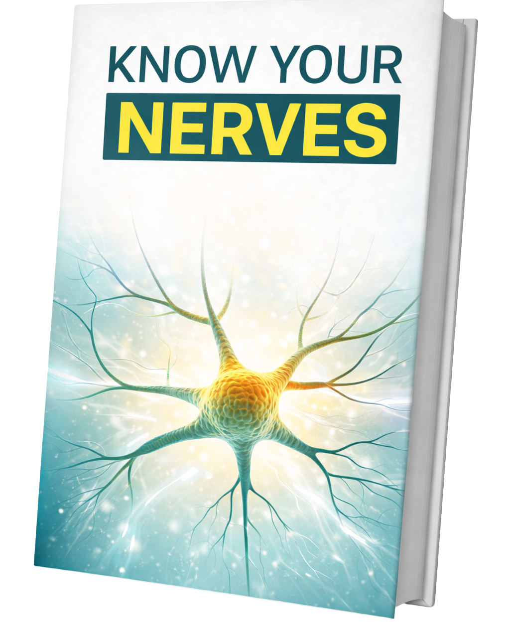 NerveCell Bonus 2