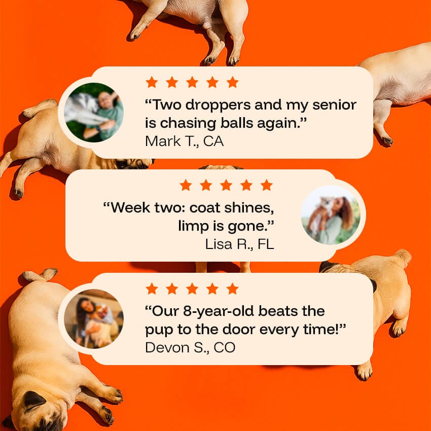 PawPrint Protocol Customers