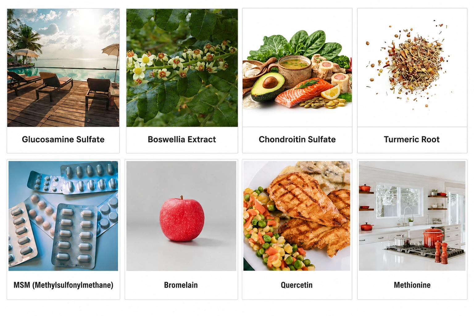 MotionPrimeX Ingredients